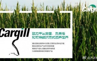 农业投资运营公司，农业投资运营公司名字简短大全