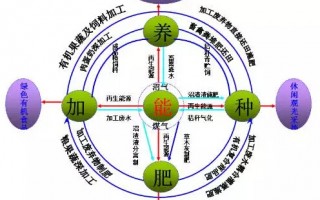 养殖业发展运营，养殖业发展运营方案