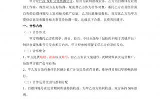 网站合作运营合同，网站合作运营合同范本