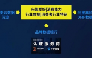 大麦代运营，大麦代运营公司