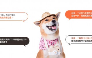 宠物运营策划，宠物运营策划方案