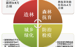 销售运营中心职责，销售运营主要做什么