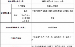 运营咨询费明细，运营咨询服务