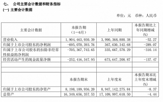 酒店开业运营计划，酒店开业运营计划书