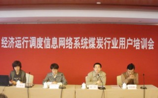 煤化工组织运营情况，煤化工组织运营情况怎么写