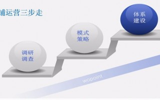 淘宝店运营整体思路，淘宝店运营整体思路怎么写