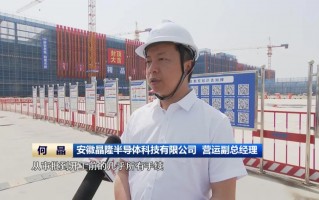 半导体生运营副总，半导体管理层