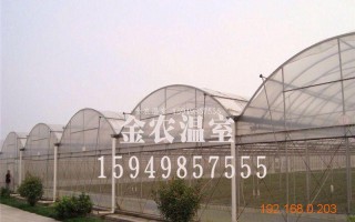 荷兰温室运营集团 德州，荷兰温室公司有哪几个