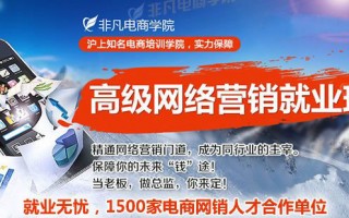 找上海淘宝运营，找上海淘宝运营工作